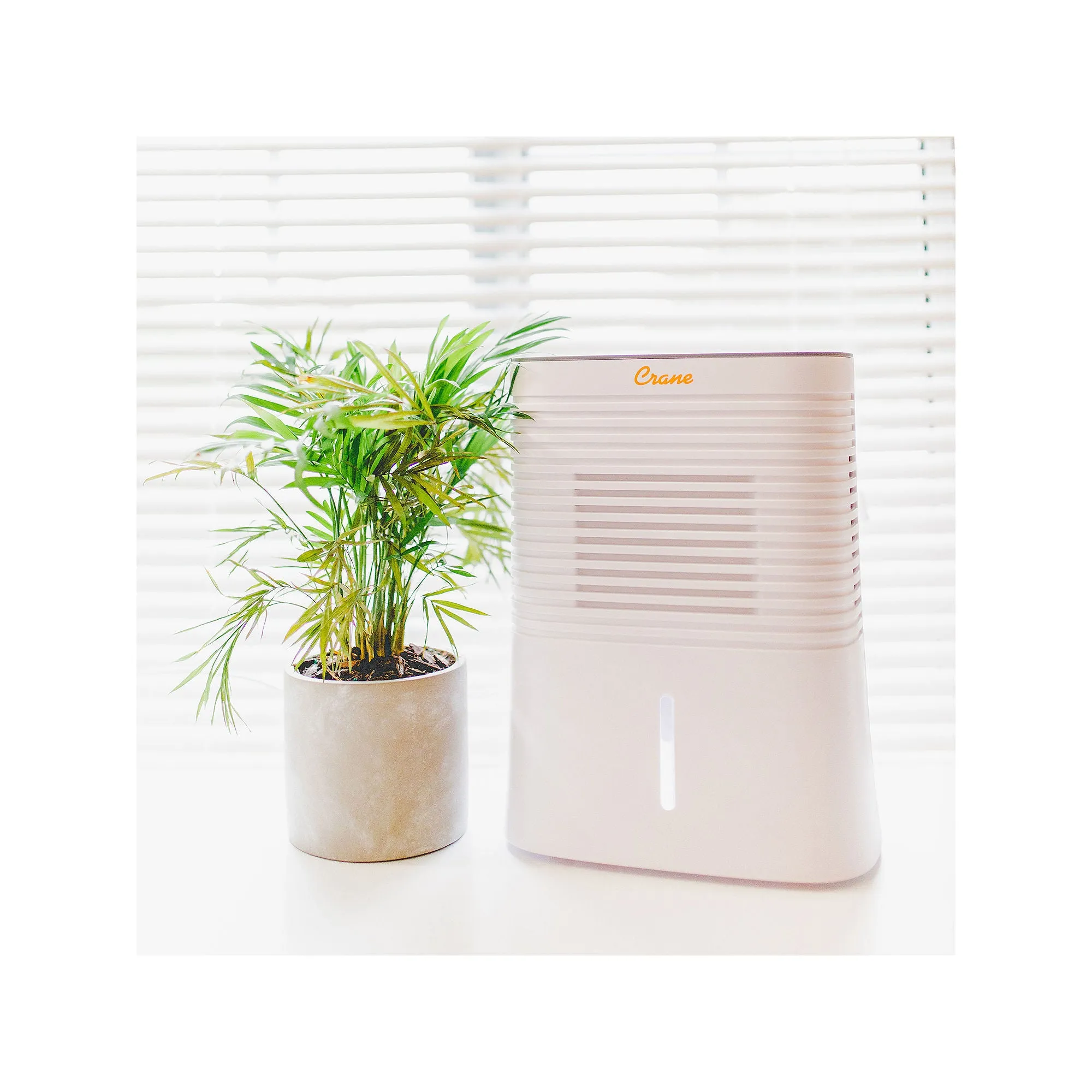 Crane EE-1000 1.5-Pint Portable Dehumidifier
